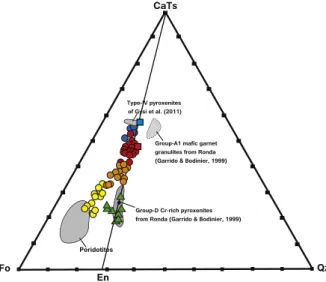 Fig. 3. Molar projections from diopside (Di) into the pseudo-ternary diagram forsterite (Fo)–calcium Tschermak pyroxene (CaTs)–quartz (Qz) of the analysed pyroxenites (symbols for rock types as in Fig