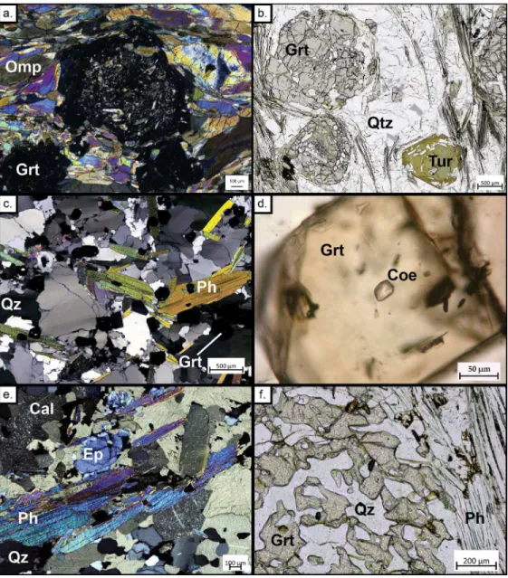 Figure 5 - Representative microstructures from the Lago di Cignana Unit. (a.) Coesite–bearing eclogite