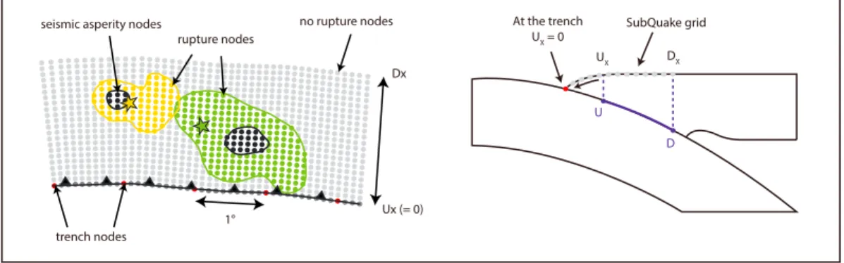 Figure 3. SubQuake data discretization. Trench nodes have been interpolated every 0.1° and projected in a trench-perpen- trench-perpen-dicular direction, delimited by U x and D x , the horizontal distances to the trench from the updip (U) and the downdip l