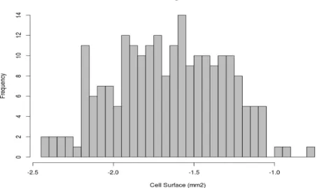 Figure 1: Experimental log-distribution of cell surface at fruit maturity in the Cervil genotype.