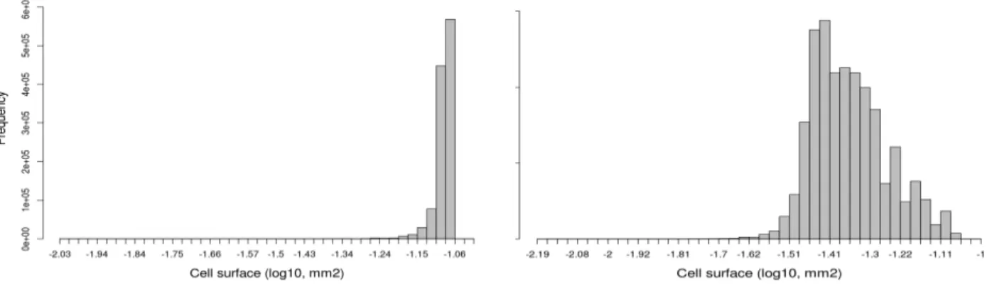 Figure   3:  Left:  Simulated   cell   size   distribution   at  fruit   maturity   under   a   cell-based   control   scheme