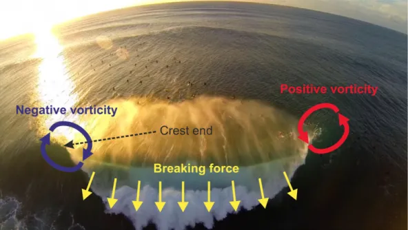Fig. 7. Swash rips ﬂowing through the centre of beach cusps at Bells Beach, Australia (photo Bruno Castelle).