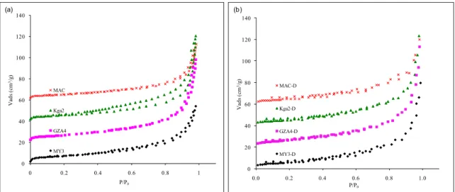 Figure 5. Nitrogen adsorption isotherm: (a) raw kaolinite; (b) DMSO-intercalated kaolinite