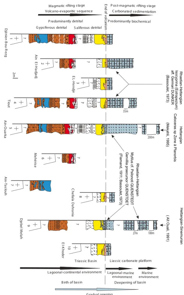 FIGURE 3.  Stratigraphic sections (location of sites in Figure 1D; same legend as in Figure 2).