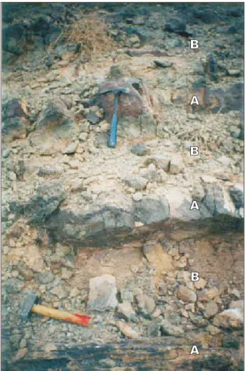 FIGURE  4.  Example  of  volcanic  flows  (Unit  B1,  Djenien  Bou-Rezg  site). A) Massive aspect at the base