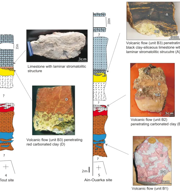 FIGURE 6. Macroscopic characteristics of the lithologies associated with the volcanic flows
