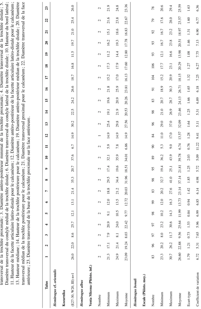 Tableau 27 : Dimensions comparées du talus de Kozarnika avec ceux d’Hemitragus d’après CréGut-bonnoure (2002)