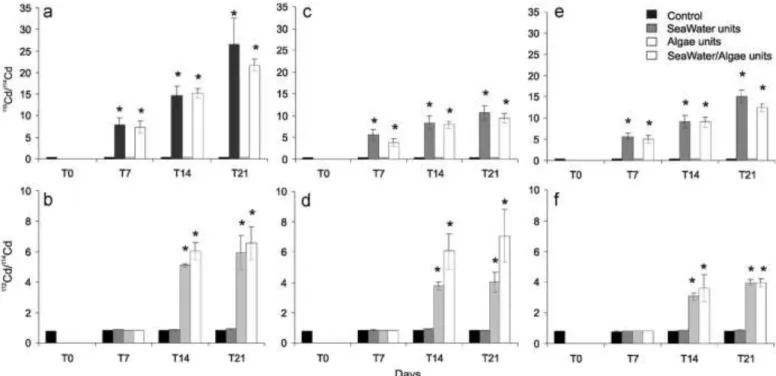 Fig. 2. Stable Cd isotopes ratio variations ( 110 Cd/ 114 Cd and 112 Cd/ 114 Cd, mean 7 SEM, n ¼ 3) in gills (a, b), digestive glands (c, d) and rests of bodies (e, f) over experiment from Controls units (black area), SeaWater units (dark grey area), Algae