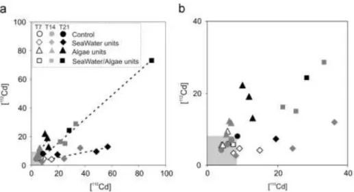 Fig. 6. (a) Mean [ 110 Cd] concentration (direct contamination) over mean [ 112 Cd] concentration (trophic contamination) measured in digestive glands of oysters from Control, SeaWater unit, Algae units and SeaWater/Algae units after 7, 14 and 21 days of e