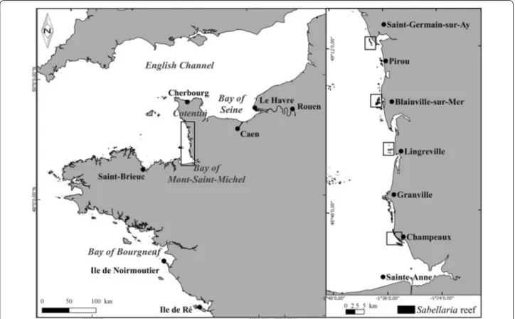Fig. 1  Location of study sites on the west coast of Cotentin, France, western part of the English Channel and location of the Bay of Bourgneuf along  the Atlantic coast