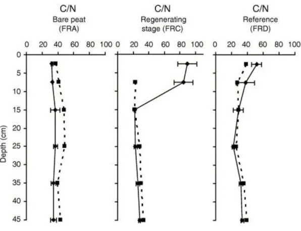 Fig. 2. : Mean depth profiles of atomic C/N ratio for the three studied areas (dotted line = fine  grained fraction and full line = bulk peat)