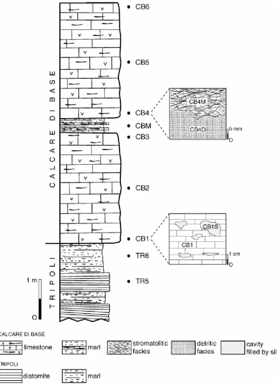 Fig. 3. Stratigraphic column of the Cropalati section with the location of the samples