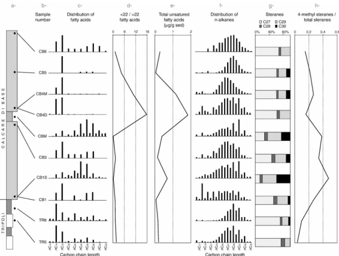 Fig. 12. Evolution of biomarkers through the section: (a) stratigraphic column with the  position of the samples; (b) sample number; (c) distributions of linear fatty acids; (d)  evolution of the ratio between short chain (&lt; C22) and long chain (&gt; C2