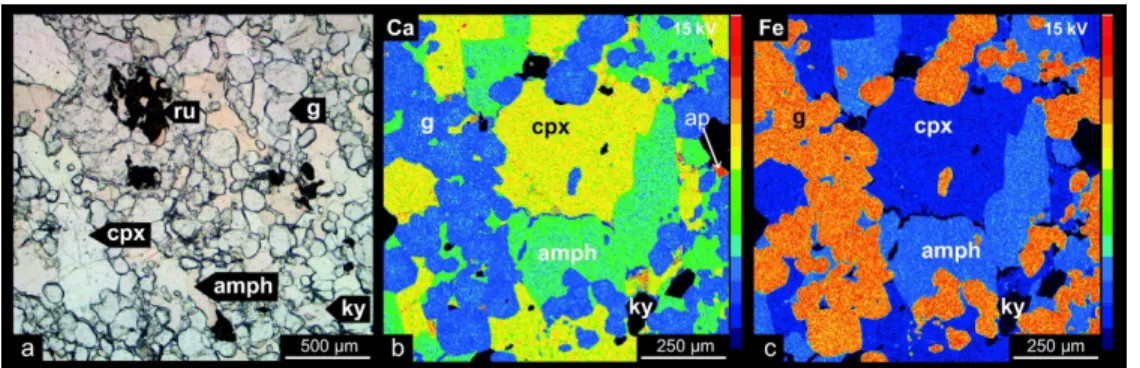 Figure 3: Sample LV21. Photomicrographs (plane polarized light) (a) and X-ray maps for Ca (b) and Fe (c)
