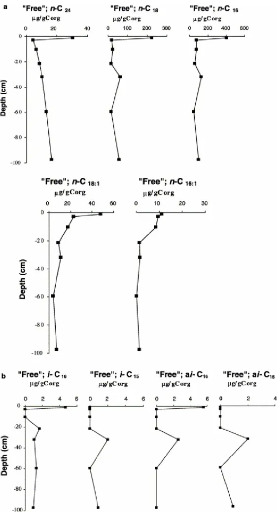 Fig. 4. (a,b) Downcore correlations of some fatty acids (μg/g C org ) in the “free” acid fraction