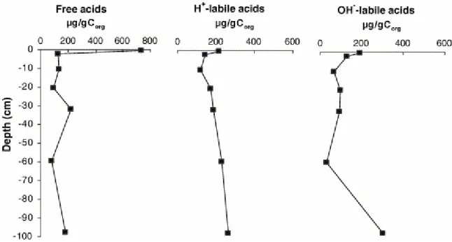 Fig. 1. FA concentration variation with depth. 