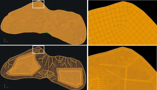 Fig. 1. Meshes created using the CUBIT mesh generator for an homogeneous model of asteroid Eros (top, 3744 elements) and a more complex model with a regolith layer and a network of fractures (bottom, 52275 elements) for simulations performed at a central f