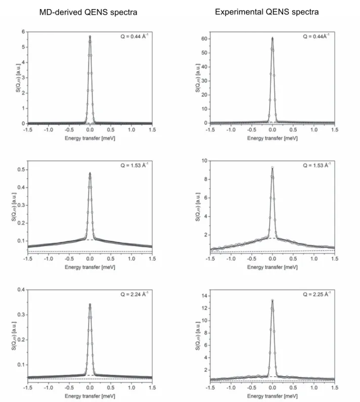 Fig. 4. MD-derived (left hand) and experimental (right hand) neutron scattering laws (points) of the THF clathrate hydrates at 270 K (energy resolution DE  90 meV for an incident wavelength k o = 5 Å)