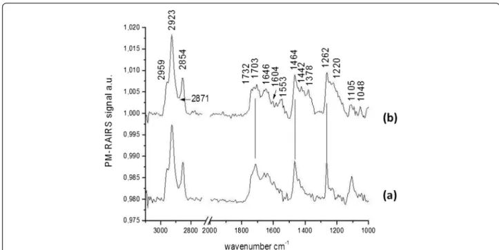Figure 8 PM-RAIRS spectra of the two consecutive steps leading to the immobilization Phe-NH 2 