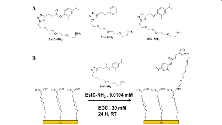 Figure 1 Structures of the carvacrol derivatives grafted on gold surfaces (A). Schematic representation of the two consecutive steps leading to the immobilization of EstC-NH 2 on Au surface, via esterification of the acidic functions of MUA by EDC (B).