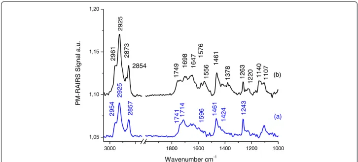 Figure 2 PM-RAIRS spectra of the two consecutive steps leading to the immobilization of EstC-NH 2 : (a) Au – MUA; (b) covalent binding of EstC-NH 2 to MUA SAMs on gold surface.