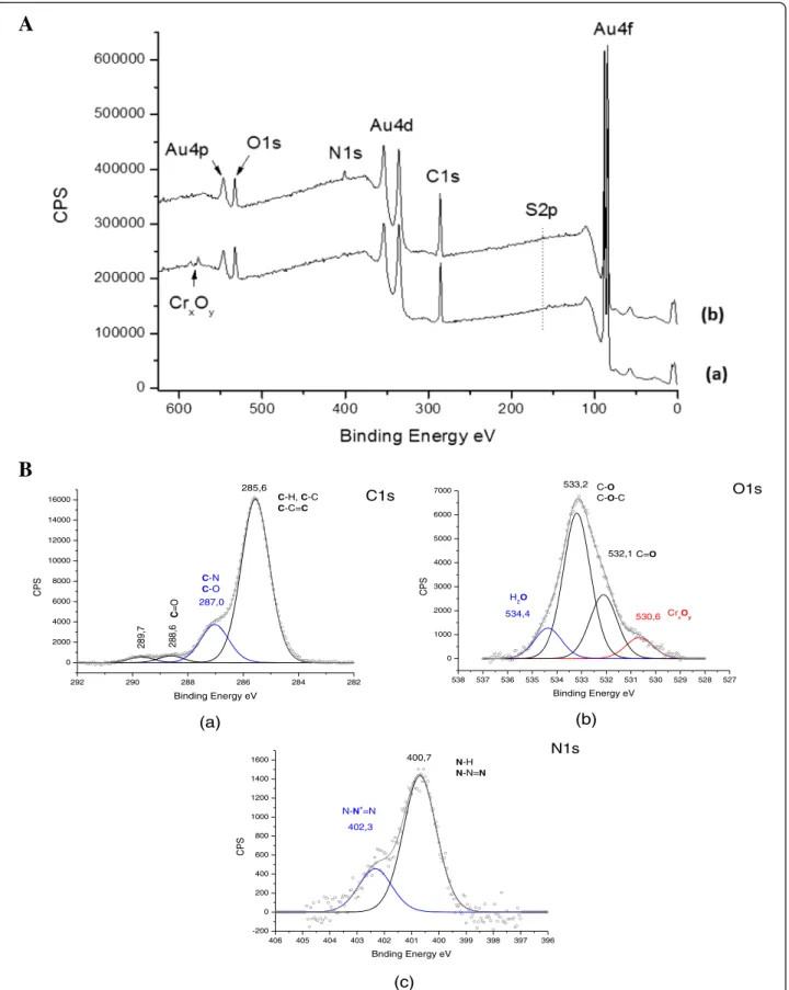 Figure 3 XPS general spectra of gold surfaces. A: XPS general spectra of gold surfaces functionalized (a) only with MUA (control) or (b) with the EstC-NH 2 molecule