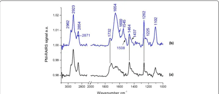 Figure 6 PM-RAIRS spectra of the two consecutive steps leading to the immobilization EtC.-NH 2 