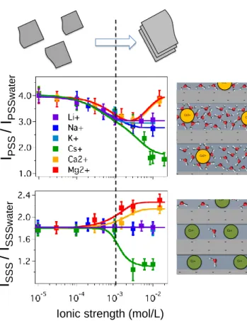 Figure 2. Evolution of the normalized SHS intensity in the PSS and SSS polarization states as a  function of the ionic strength for different mono and divalent cations