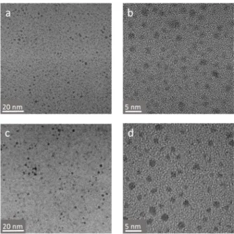 Figure 1.  Transmission  electron  micrographs at  different  magnifications of  (a,b)  Au@DTDTPA and  (c,d) Au@DTDTPA‐Cy5 nanoparticles. 