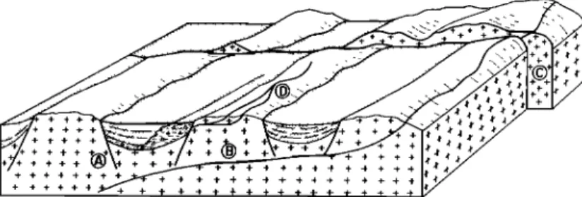 Fig.  5.  Schematic  block diagram  of  fault  types in  the Basin and Range  Province