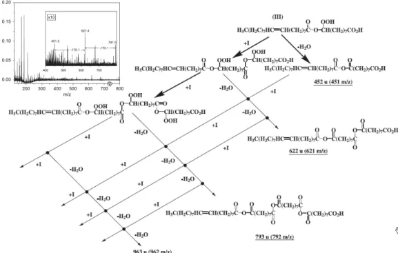 Fig. 3. The formation of peroxidic polymers (ACOAH and corresponding polyanhydrides). De- De-picted are products arising from the addition of CI (I) (see Fig