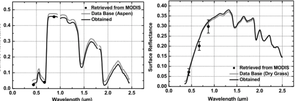 Fig. 3. Surface spectral reflectance values: from the USGS database (grey line), retrieved from MODIS (black circles) and obtained combining the database with MODIS retrievals (black line) for ´ Evora nearby rural area, during 2004 winter (left) and summer