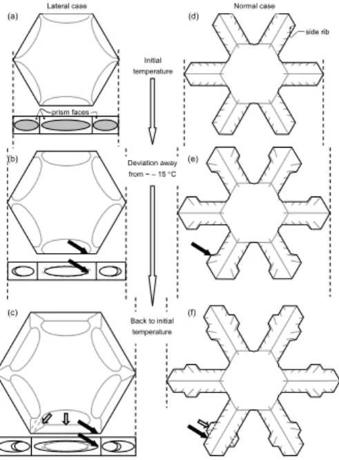 Fig. 2. Crystal features formed by growth changes in a cloud at liquid-water saturation