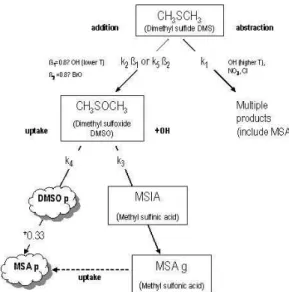 Fig. 5. Simplified schematic of DMS oxidation chemistry.