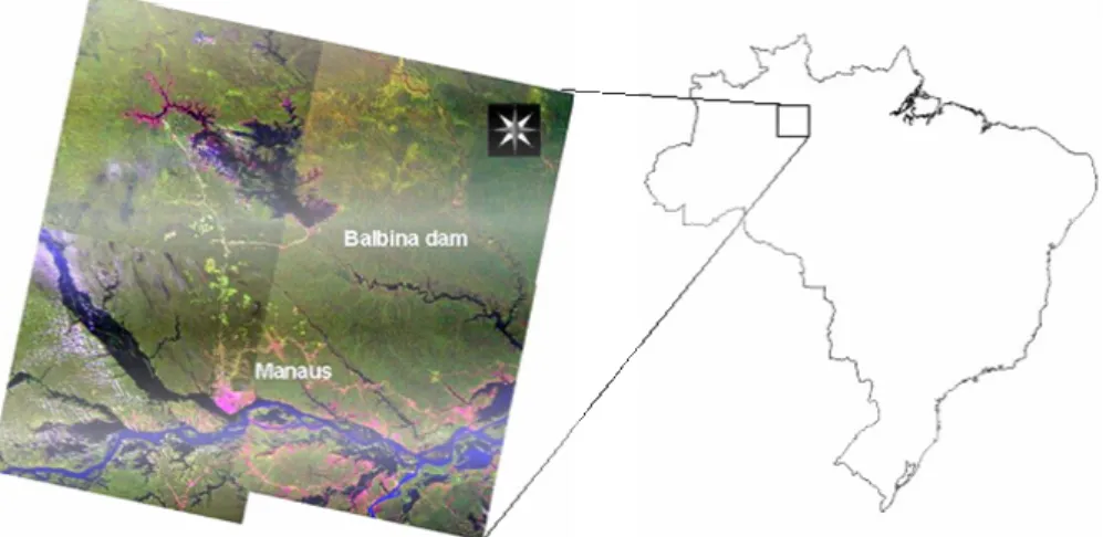 Fig. 1. Landsat image of the sampling site area. The city of Manaus (population 1 700 000) is shown in the low central portion of the portrait