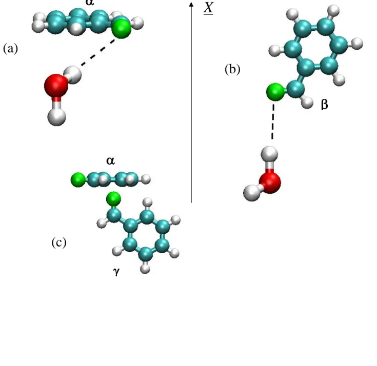 Figure 11.  Petitjean et al.  (a)  X  (b)  (c)        
