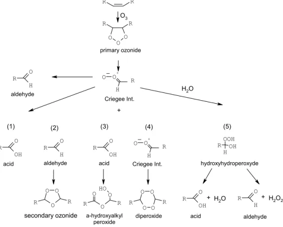 Fig. 3. Proposed reaction mechanism for the ozonolysis of an unsaturated double bond. For- For-mation pathways of acids, aldehydes, secondary ozonides, α-hydroxyalkyl peroxides and  diper-oxides in presence and absence of water.