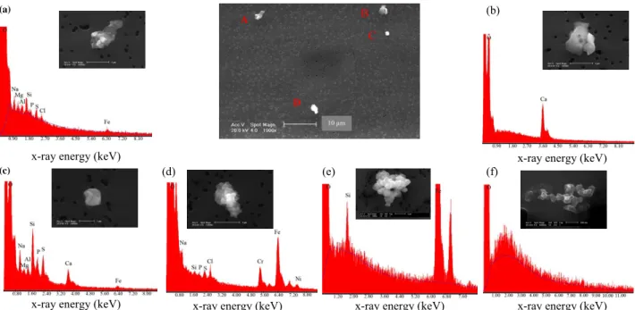 Fig. 3. Secondary electron images and EDX spectra of residual ice crystals collected during INTACC