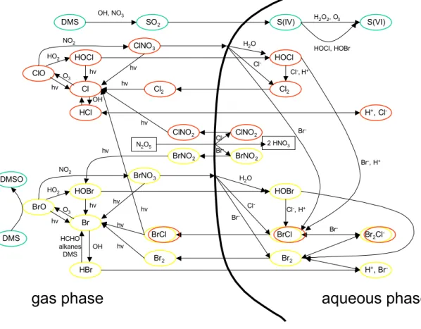 Fig. 5. Schematic diagram of the major halogen-related reactions in the gas and aqueous phase