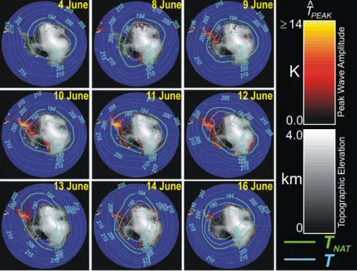 Fig. 3. MWFM-2 hindcast of peak mountain wave temperature amplitudes at 40 hPa for various days in June 2003 at 12Z, based on 1.25 ◦ × 1 ◦ 36-level analyses from NASA’s Global Modeling and Assimilation Office