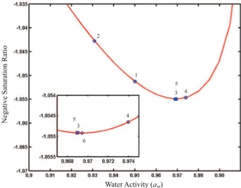 Fig. 3. Negative equilibrium saturation ratio (S) as a function of water activity (a w ) for (NH 4 ) 2 SO 4 , NaCl and H 2 SO 4 particles at 10, 20, 40 and 80 nm