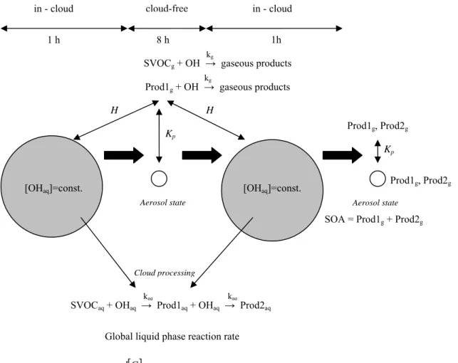 Fig. 1. Scheme of the conceptual model(1 h in cloud – 8 h cloudless – 1 h in cloud). Initial mixing ratio of SVOC is 10 ppt C