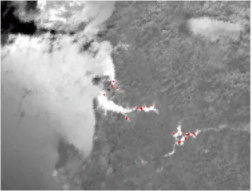 Fig. 3. Example of false fire pixels caused by sun glint in the Ji and Stocker (2002) VIRS fire product in Gabon (1 February 2002, 12:16 UTC)