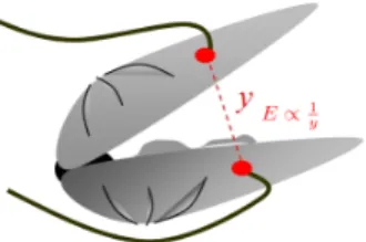 Figure 1. Graphical representation of the distance being estimated by the electrodes