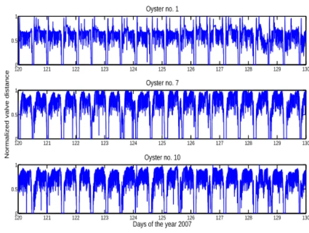 Figure 4. Examples of normalized valve distance of three oysters during 10 days (sampling period, T s = 1.6 sec.)