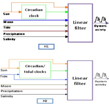 Figure 8. Structure scheme of the generic model (6), (7)