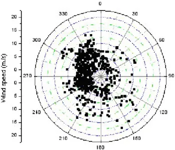 Fig. 1. Polar plot of local wind direction for organic observations during NAMBLEX 2002 experiment