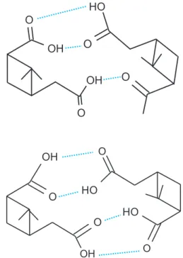 Fig. 8. Structure of the pinic acid/pinonic acid adduct (top) and of the pinic acid dimer (bottom)