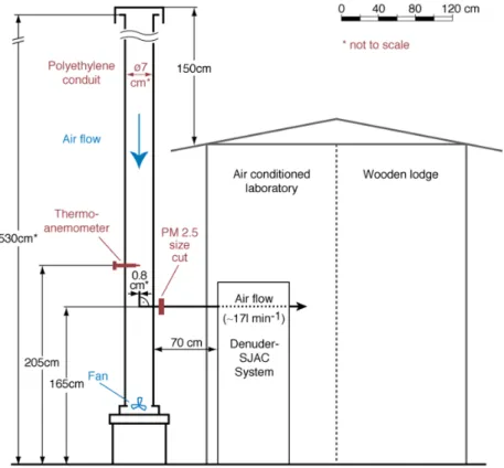 Fig. 1. Design and setup of the inlet system for real-time measurements of water-soluble gases and inorganic aerosol species at FNS during SMOCC 2002.