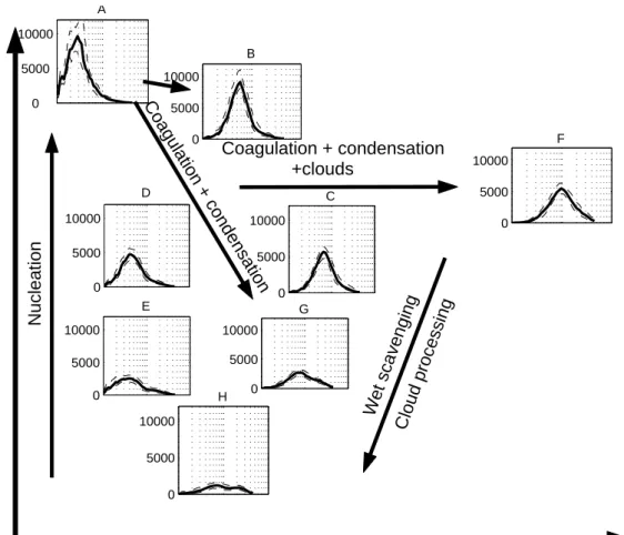 Fig. 10. Suggested lifecycle of the boundary layer aerosol.